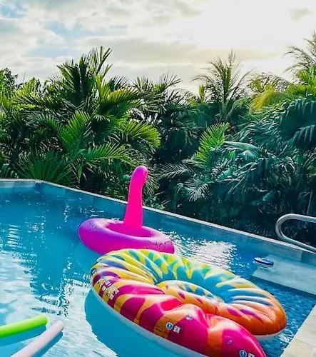 The Coconut Palm - Ocean View W/ Pool * Ocho Ríos