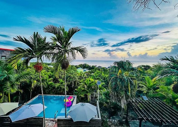 The Coconut Palm - Ocean View W/ Pool Apartamento