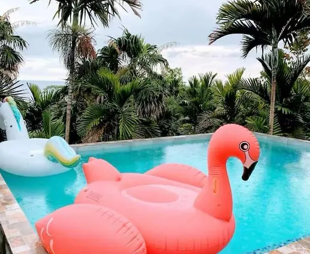The Coconut Palm - Ocean View W/ Pool