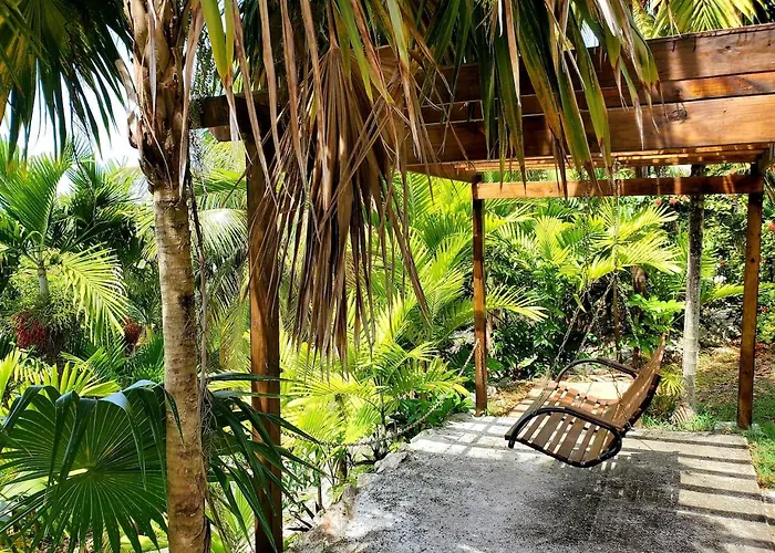 The Coconut Palm - Ocean View W/ Pool *