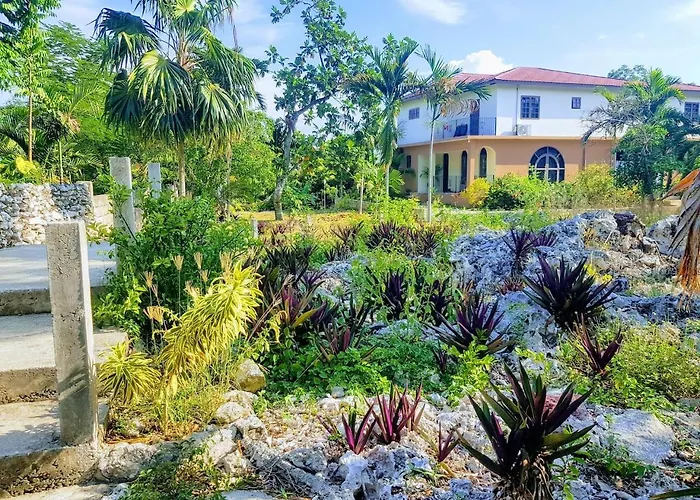 Apartamento The Coconut Palm - Ocean View W/ Pool *